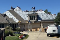 project-14_7969-Large