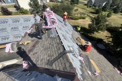 project-158098237_496988526679934_1028643235993214255_n