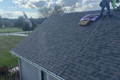 project-3_7566-Large