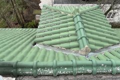 project-8_3416-Large