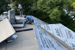 project-8_5179-Large