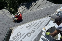 project-8_5186-Large