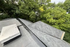 project-8_5223-Large